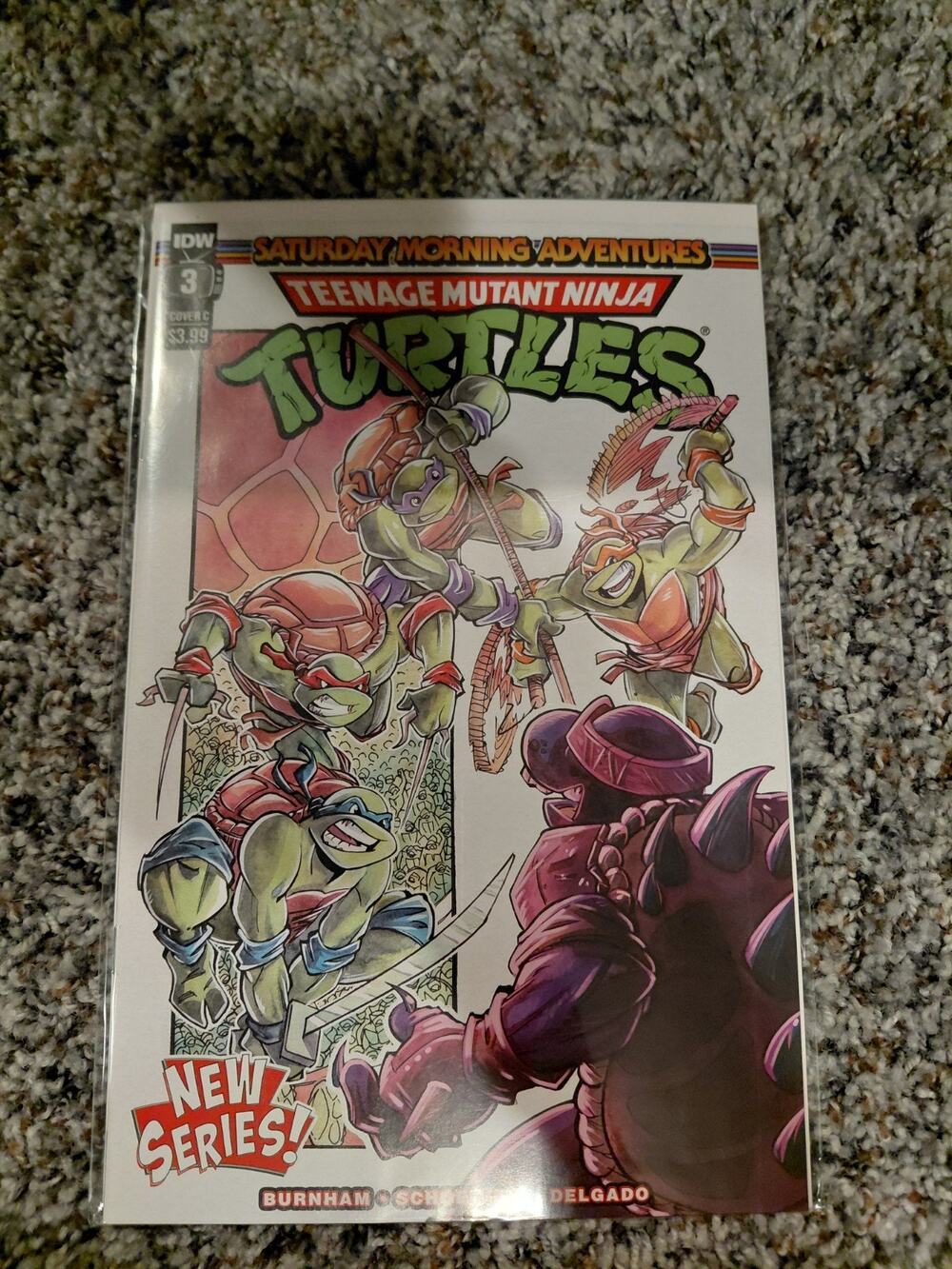 Teenage Mutant Ninja Turtles: Saturday Morning Adventures #3 Cover C